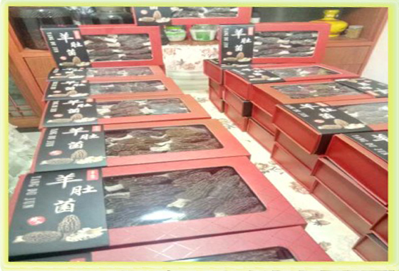 &#24320;&#20803;&#32593;&#31449;&#30331;&#24405;&#20837;&#21475;&#95;&#24320;&#20803;&#65288;&#20013;&#22269;&#65289;